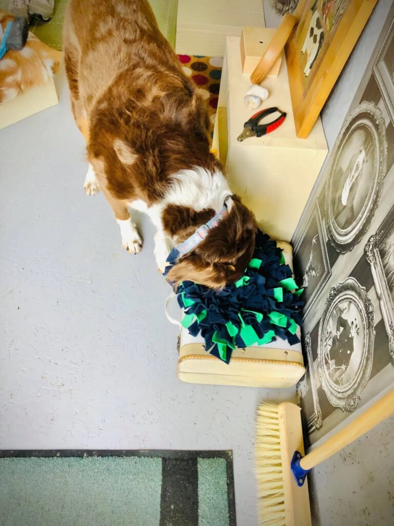 1931 e9f0625e4837e5fbfa592207fa3fe65b 1 768x1024