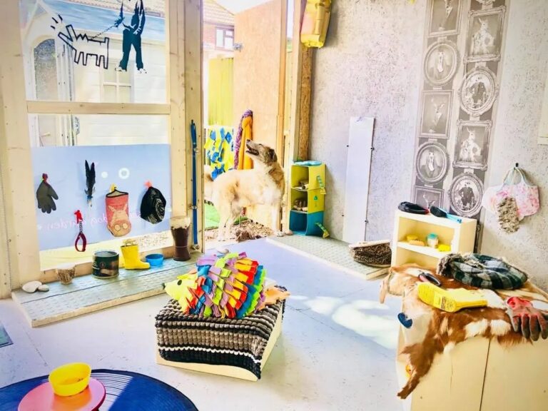 1931 ec29ebd08b3b2111a8906faccc9bcef9 1 768x576