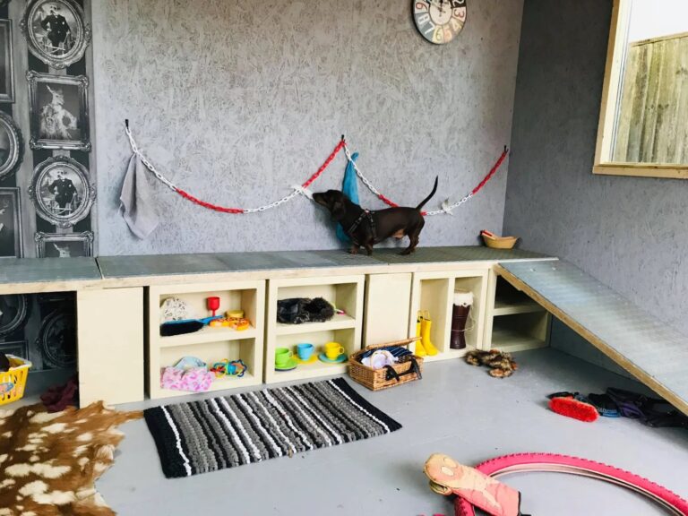 1931 f19c6627f44a9c059b0f054a5b1ca9d2 1 768x576