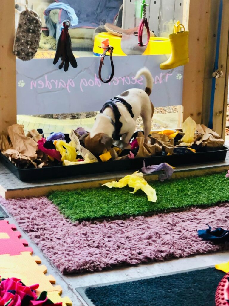 1931 f3c9909b68c8a515a89a9b0c2f9c3667 1 768x1024