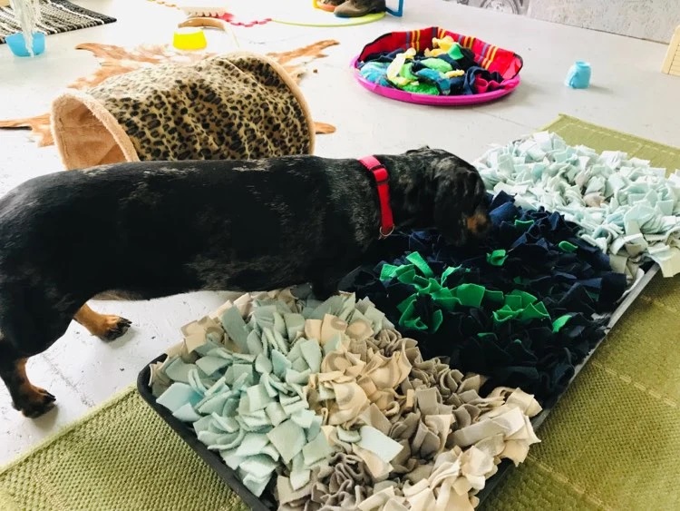 1931 f85520365beed4c07cb70164f3a0f5fb 1