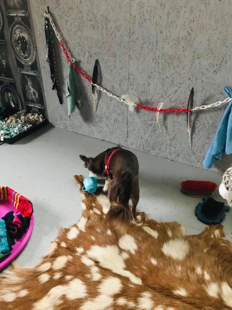 1931 f8b0e3a1598f1ead9598a199b882ddab 1 768x1024