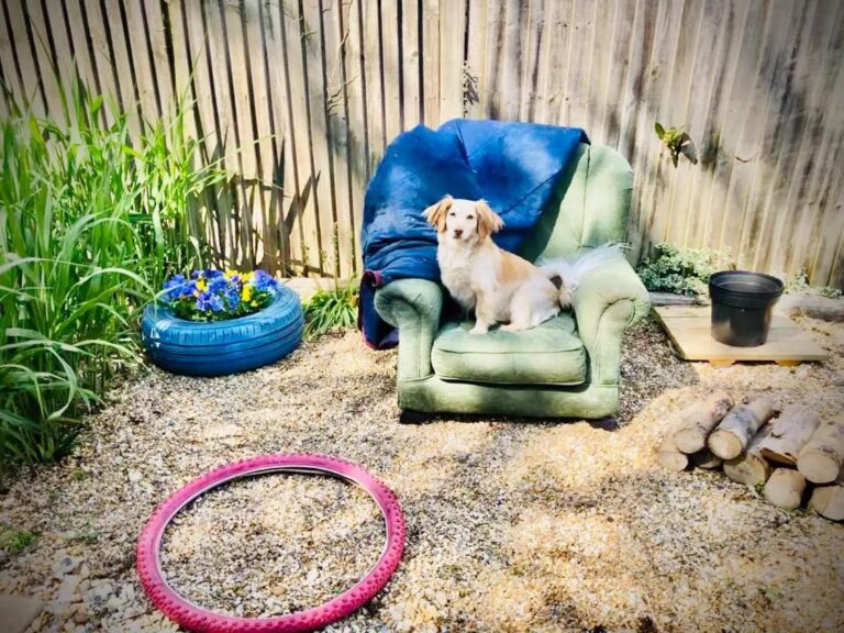 1931 fc5d22ada3b118378b4abf2ebd87a694 1 768x576