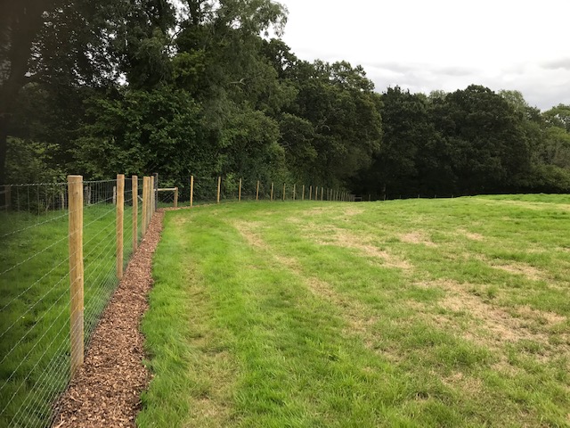 1936 1a67779f4d661492045dff632cf936f7 1