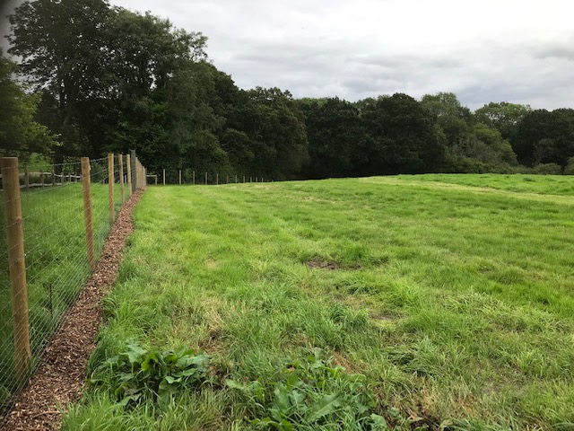 1936 1f96b2d127f65890cb106a4231284e08 1