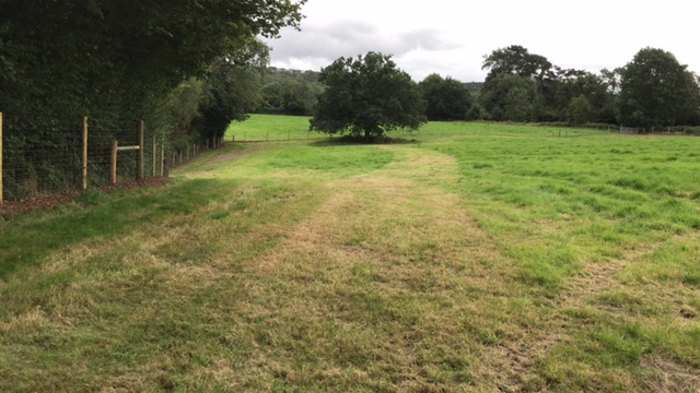 1936 8e023719e5c8cd32506fbcdcb67a70f1 1