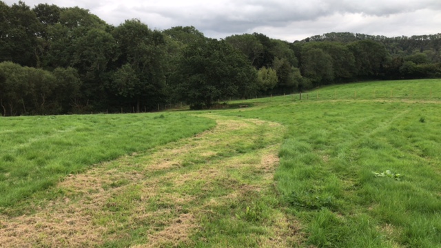 1936 e7bb39236b3eb707ce7f9a2a5b9293b7 1