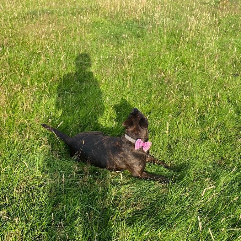 1938 270a5238015c82f582471ea933d12486 1