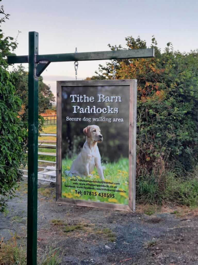 1938 607a8ffbbe4ce07af543a314f7758be6 1 scaled 768x1024