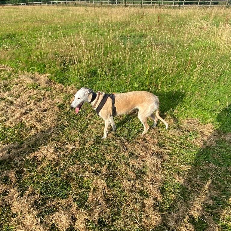 1938 af8e56f43d9ca1749b755d75d65bf7ca 1