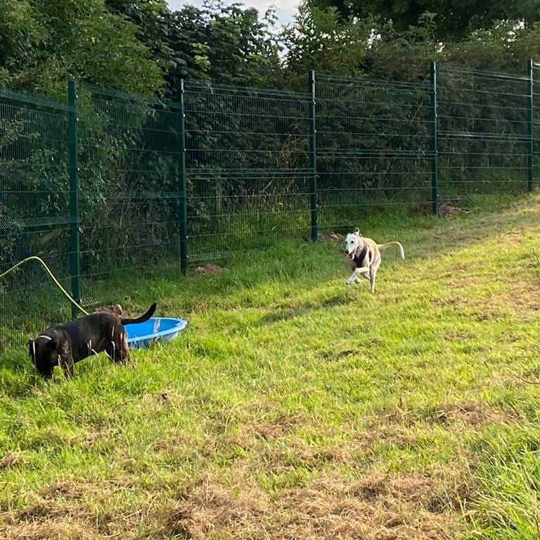 1938 e8ce722da74d77ceb1d40e70b953811f 1