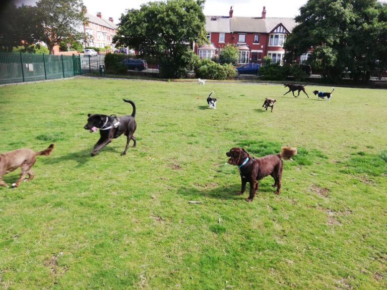 1939 8c160d4828a90e38d3495aca2fb3e795 1 768x576