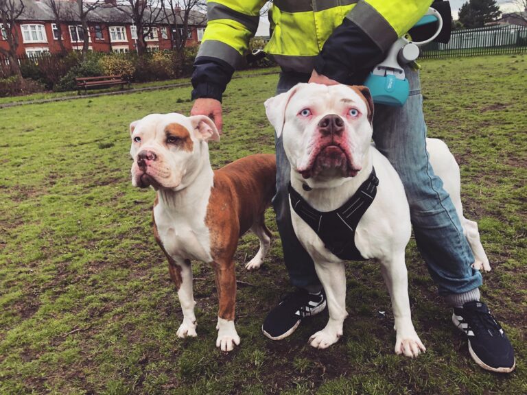 1939 918a75113c27b7fcbd7a295939d25ebc 1 768x576