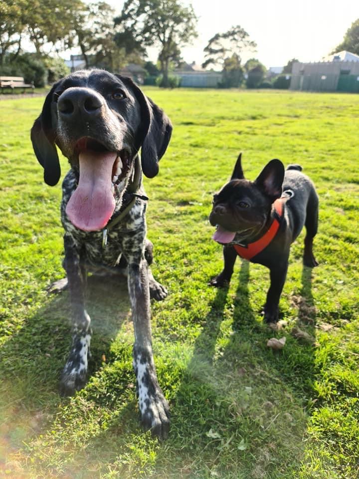 1939 dae32fbc1a4e53c8eefaaea5af4be5e2 1