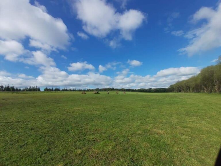 1940 35ac9697b2f6d2c9e6abec32e105ebc1 1 768x576