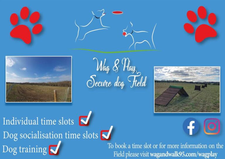 1940 9486f2e83fb8edfbea099e86f61d79c4 1 768x543