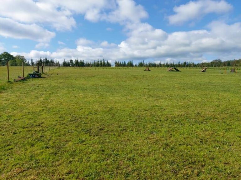 1940 f8e9acd21c807af874236d01750d7c02 1 768x576