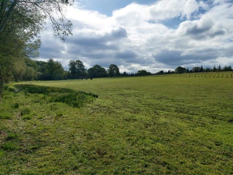 1940 f9b4b6f5c47fd46dc3aec640580d0ae3 1 768x576