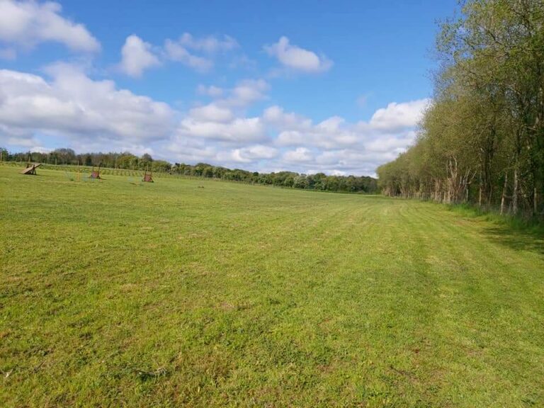 1940 fb24c6b8a94c39c3a3829a4a013fa278 1 768x576