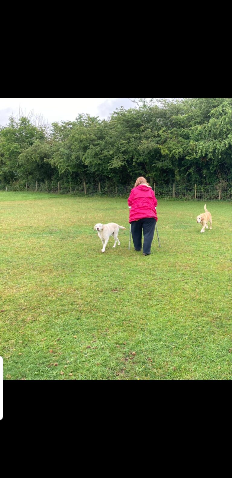 1941 87ad6b8b12a9f6a495c5d8378233cd7f 1 768x1579