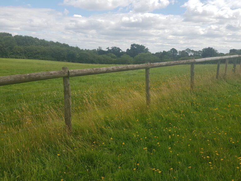 1941 fc11e0255e6d33c569377392fd839d05 1 scaled 768x576