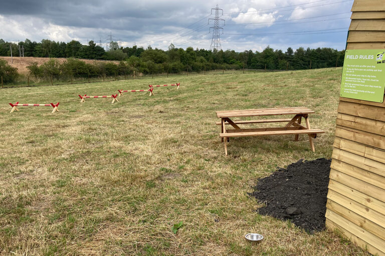 1943 8e644c8cf3d21ce4b7b777d312b2f8ef 1 768x511