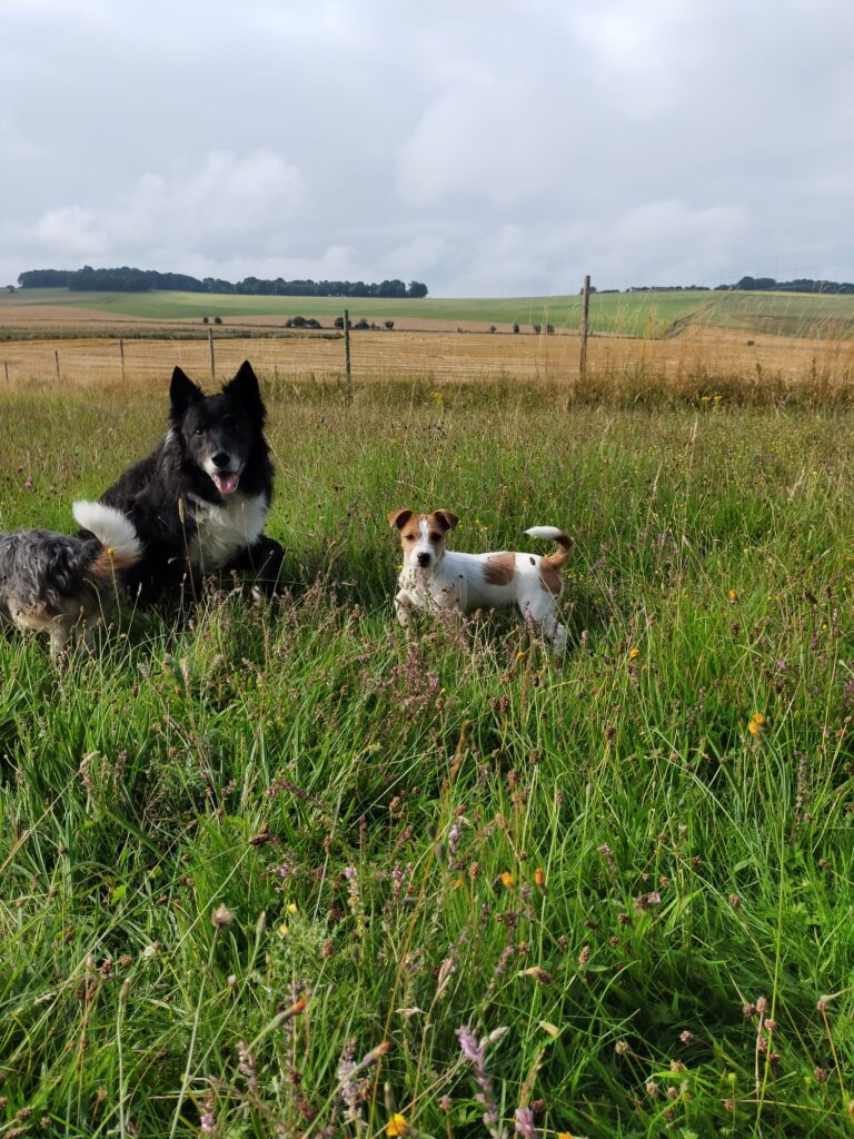 1944 32ed3633babb8669af1c5989f4423f21 1 768x1024