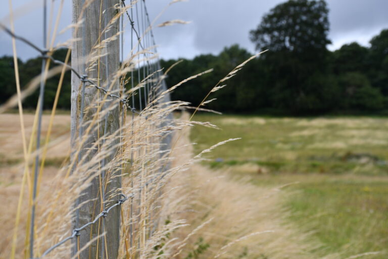 1944 5b49b3c3288db820a9c7b12e4a1a3fdc 1 768x512