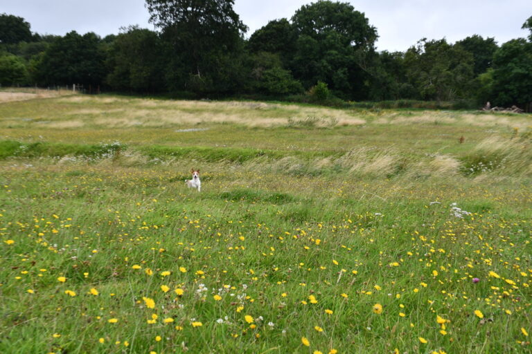 1944 6eac9c51657cc5f428c685f723638bcf 1 768x512