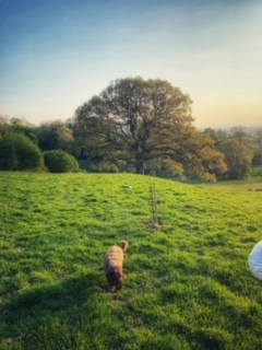 1947 0584af7e599c9b4e5e8ec5f8a5118679 1