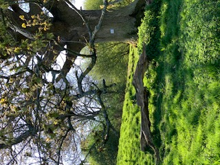 1947 359a2d02feca020b541d590a188a4316 1