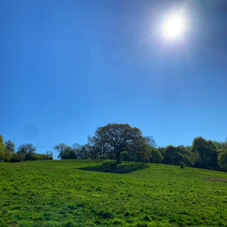 1947 49d046565877850d396d211f9230be5d 1