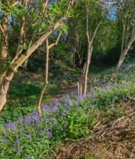 1947 536ca9c14dda1b2d38aceb7d8f990087 1