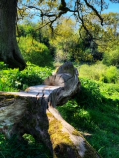 1947 a670dbcf8d332a41b3ffed2214b8a5e8 1