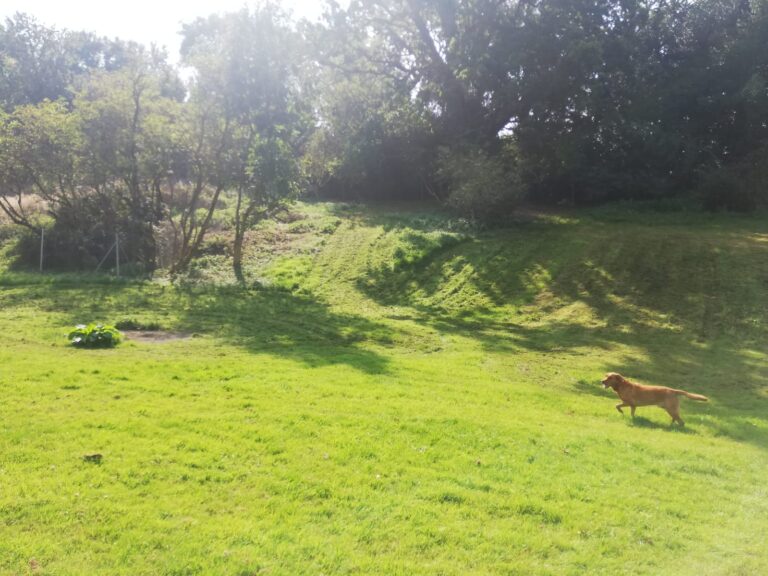 1947 ae1c74b9202c98be044988c3fd27cc1f 1 768x576