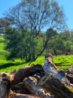 1947 b5713002a5b27c7a52cfcc29cf99b8fc 1