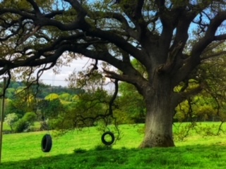 1947 c6d725930745108a80e5fdf50cca670f 1