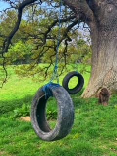 1947 dc938fbf802a7da5426da19e1b445cba 1