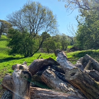 1947 e580528daacd65bfc89a32246071f987 1