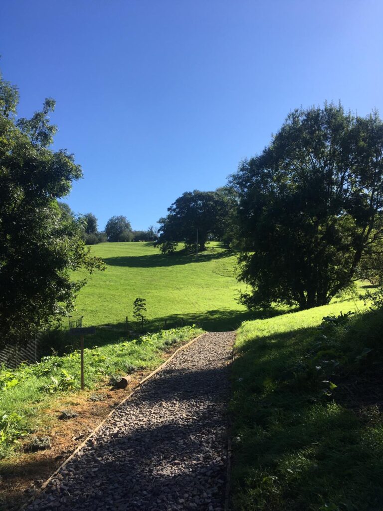 1947 eb05be5194858ed345e340d31becc0ca 1 768x1024