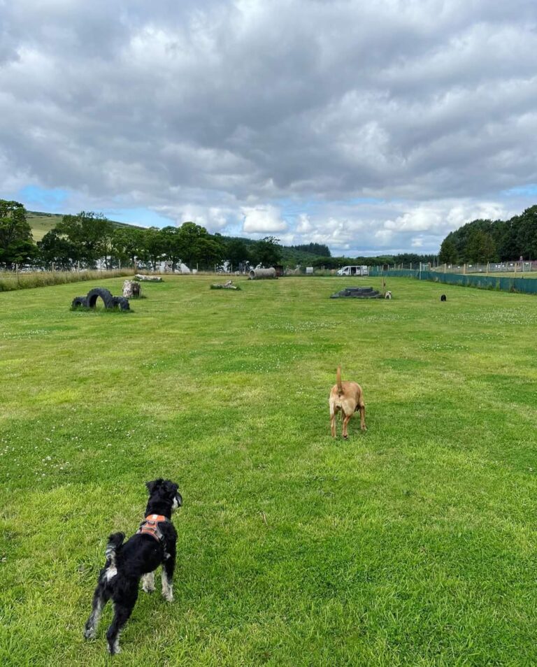 1948 8c47de303a79348540ff937500cb35d4 1 768x954