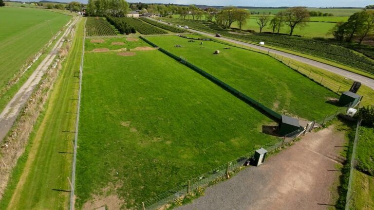 1948 c7321f3fbd4458ecf6422c4c6ab39a31 1 768x432