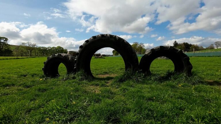 1948 d39a4535d89a8353495650e9be2174a4 1 768x432