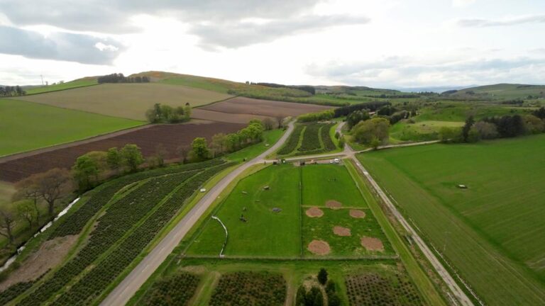 1948 e88f845b04a24559ad8f317b7c226e23 1 768x432