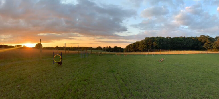 1949 2a4deacdd428ec4581736fdab879385b 1 768x349