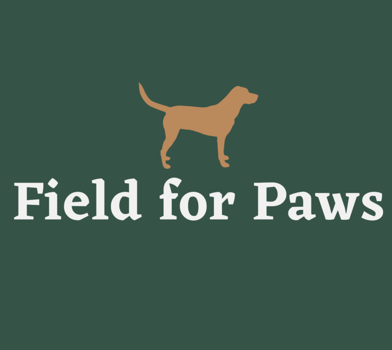 1950 839fad2f81d58d762d227783e1395d0e 1 768x686