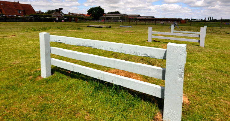 1951 db46cdfc61c9c0d9580b2bfa4e4cd59a 1 768x403