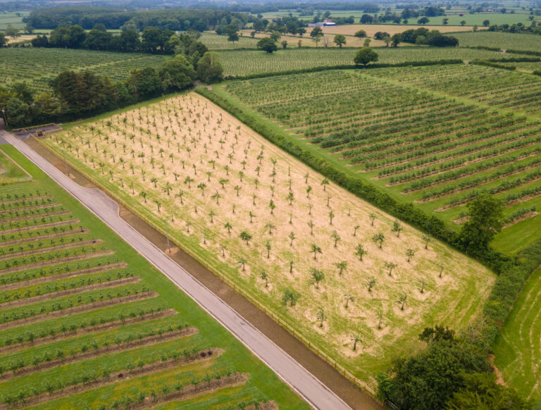 1952 489515fdf73300c482b62f8bb573c631 1 scaled 768x582