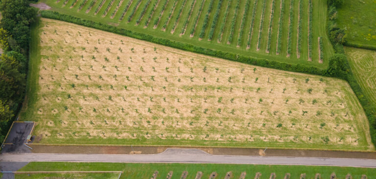 1952 db39e5231f9d50d5323c9c00fd9afe34 1 768x366