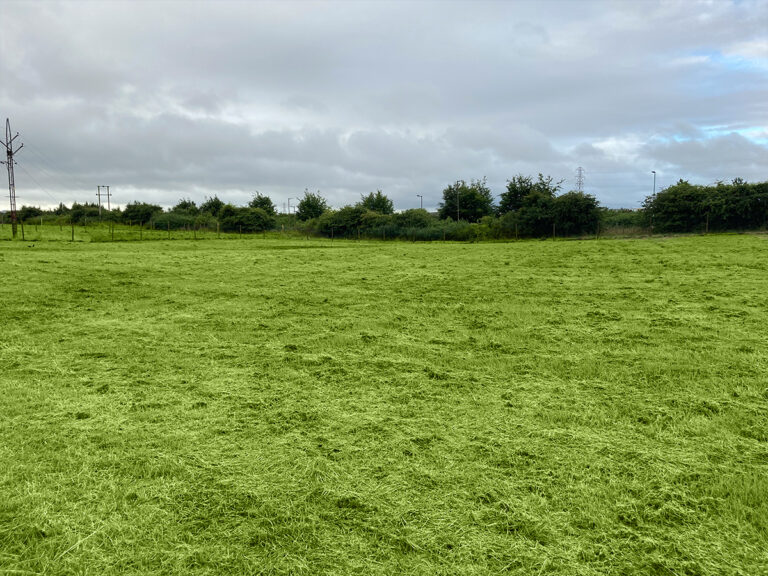 1954 a1565f4e259ef94ee3aa7c8948076921 1 768x576